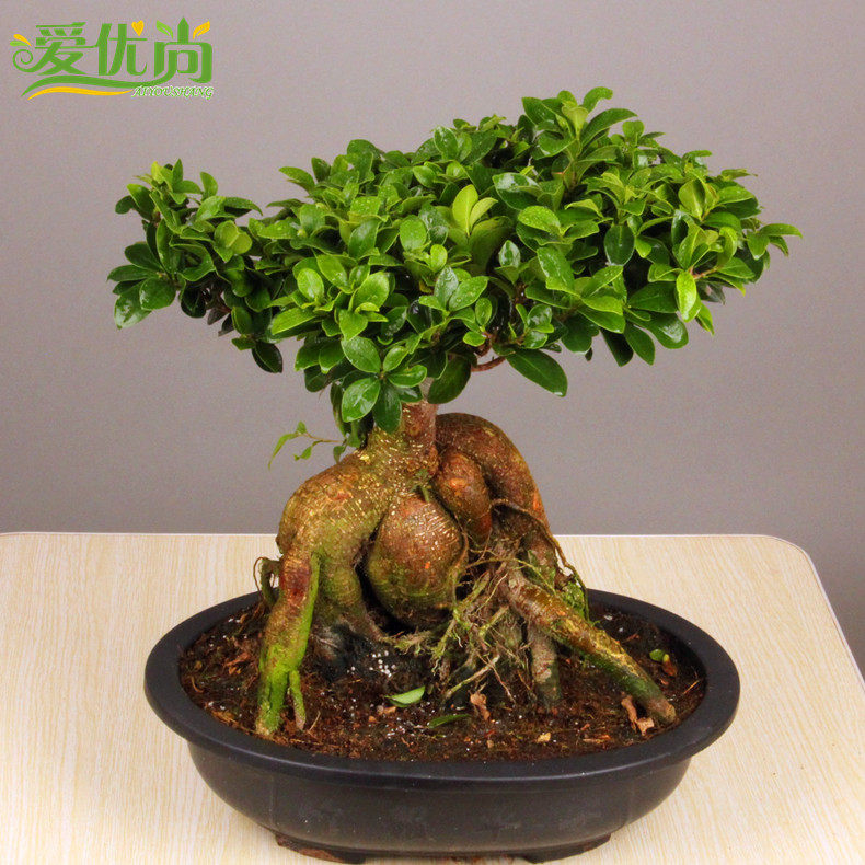 �������辰000188