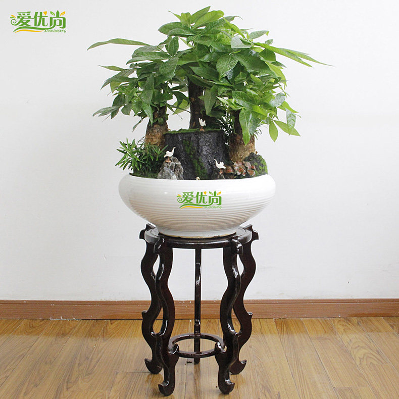 �����з������辰�辰��