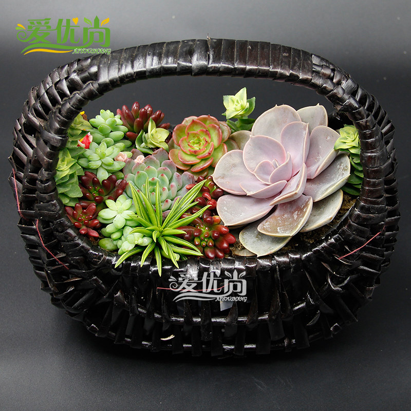 �����ж����辰