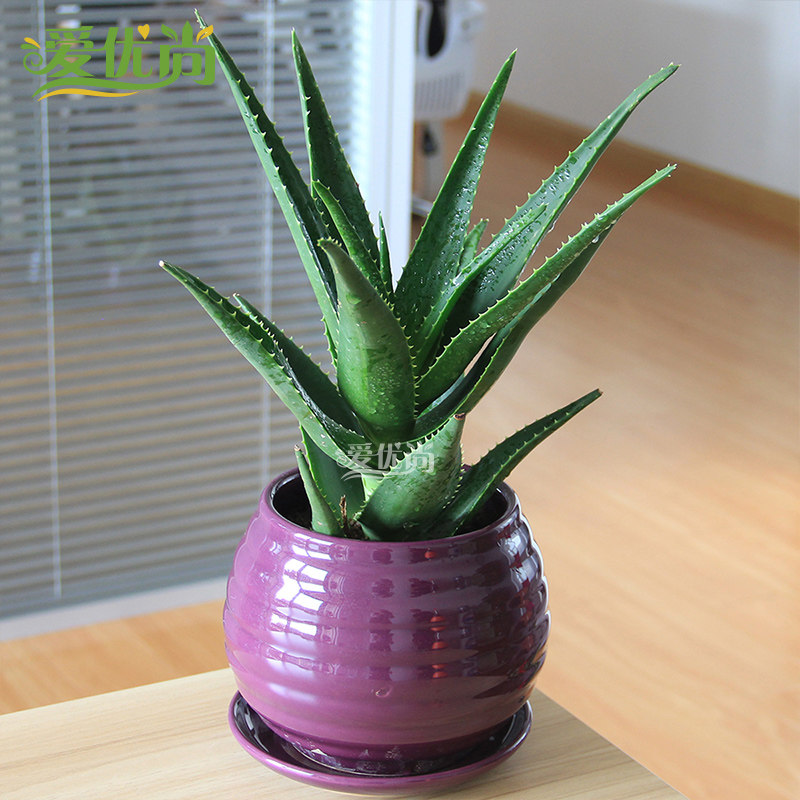 �������ļ��辰s127