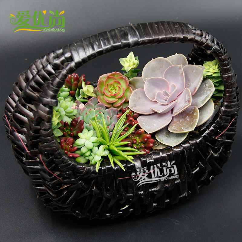 �����ж����辰