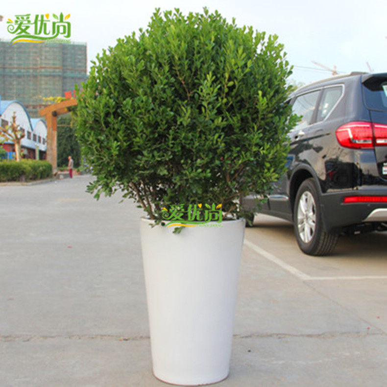 ���������� ����