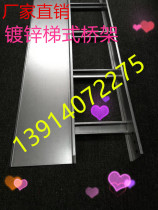 Factory direct sales 100X50 ladder cable tray sprayed metal wire trough fireproof weak power network