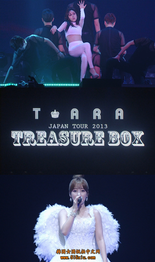 T-ara女团2013Japan Tour ~Treasure Box日本武道馆演唱会 高清蓝光38.9G