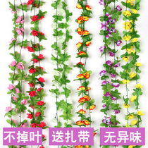 Leaf farmyard Wall Vine Vine shop rattan plant decoration flower balcony plastic green hotel flowers and plants