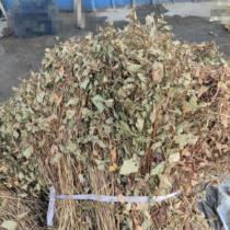 This year’s fresh dried Houttuynia cordata 500g deep mountain Chinese herbal medicine whole sun-dried Zheer root wild brewed tea