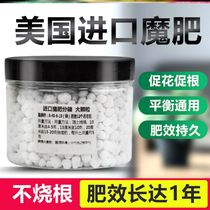 Magic fertilizer Special granular slow-release fertilizer for imported orchids from the United States Universal succulent monthly hydrangea clematis to promote flowering