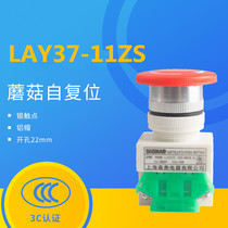 Seno LAY7-11ZS mushroom emergency stop self-locking SAY LAY37-11ZS button switch rotary reset 22mm