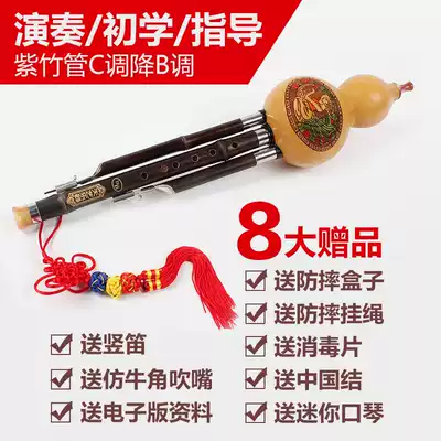 Professional beginner cucurbit C tune B three tone white copper Purple Bamboo Bamboo cucurbit special send learning materials