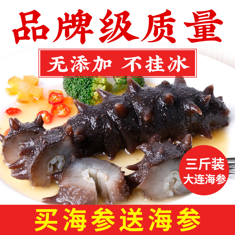 (dare and any one ratio of quality) Old Liu Dalian ready-to-eat sea cucumbers 1500g sea cucumbers alive Liao liao
