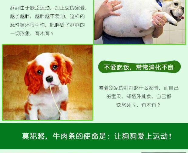 Mai Fu Di Bao Bao Le Gao Canxi Canxi Rod 400g Teddy Pupgie Dog Snacks Thịt bò Steak Steak Thịt bò Huấn luyện Thịt chó - Đồ ăn vặt cho chó hạt natural core