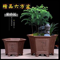 Thickened flower pot sun-resistant pulp plant potted pot large plate view flower plate rose flower pot special meaty pot