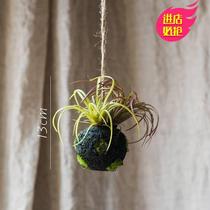 Air pineapple succulents tree root charm simulation hanging green plant wall decoration design space moss ball