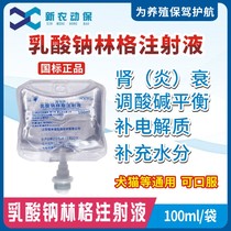 Veterinary Sodium Lactate Ringer Injection for dogs Cats Dogs Pets Diarrhea Rehydration dehydration Oral electrolytes Kidney failure Veterinary drugs