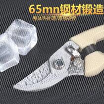 Cut Barbecue Bamboo Sign Special Scissors Disposable Chopsticks Scissors Branch Cut Branches Cut Branches Cut Bamboo Art Tools Garden Cut