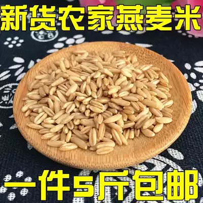 Oatmeal 2020 new rice raw naked oatmeal kernels authentic Zhangjiakou full germ grains 5kg