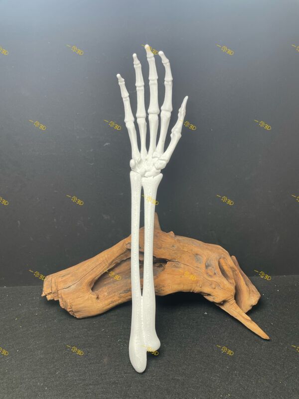 3D Printed Skeleton Hand Skeleton Hand Decoration Horror Prank Gag Prop Right Hand Scary Ghost Hand Ornament