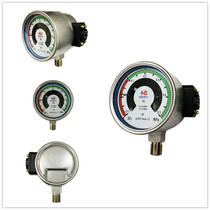 SF6 sulfur hexafluoride gas density relay HGS100J density controller can be customized