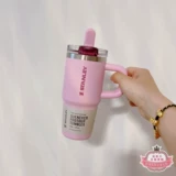 Канадская прямая почтовая рассылка Стэнли изолированное охлаждение и уведомление о утечке Складывание соломенной чашки 14/20/30/40 унций