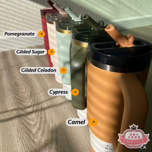 Канадская прямая почтовая рассылка Стэнли изолированное охлаждение и уведомление о утечке Складывание соломенной чашки 14/20/30/40 унций