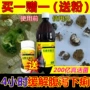Thuốc chim bồ câu ou Naide [Vua vi khuẩn sống axit lactic] 1000ml loài chim bồ câu đua sản phẩm sức khỏe Baiyi vi khuẩn sống đường ruột chim y học - Chim & Chăm sóc chim Supplies cám cho chào mào