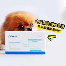 Bni pet dog dog cat heart disease drug dog cat heart disease drug dog cat heart heart hypertrophy antihypertensive treatment cat heart failure kidney failure cough and asthma