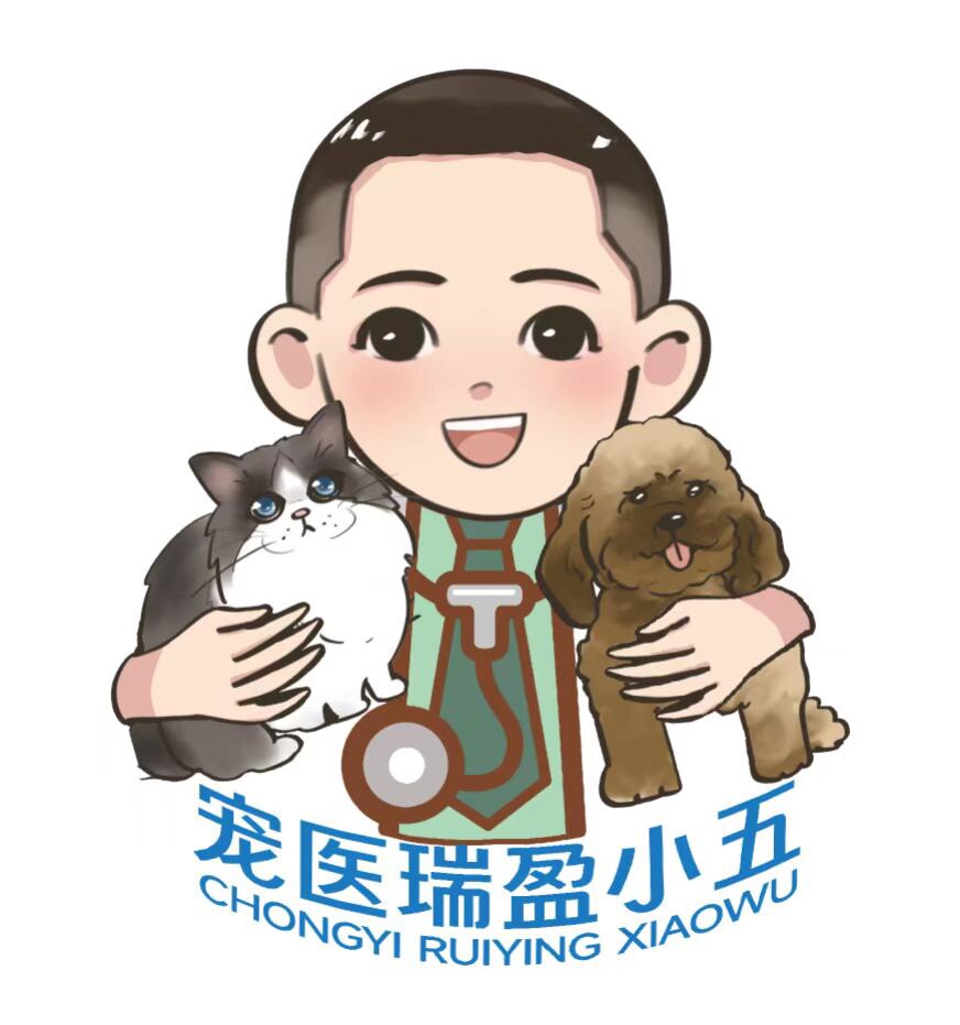 瑞盈小五宠物医生