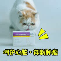 Runting pet ginseng stem and leaf saponins pet cats use heart disease hypertrophy antihypertensive drugs to inhibit tumor regulation immunity