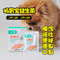 Pets dogs cats gastrointestinal diarrhea constipation indigestion dogs probiotics gastroenterology health products