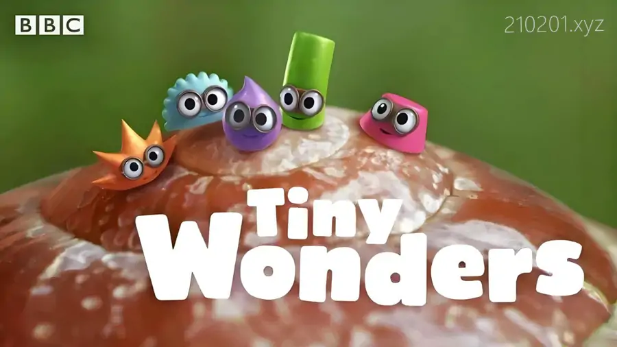 小奇迹 Tiny Wonders 英语科普动画片全五季共51集视频+音频