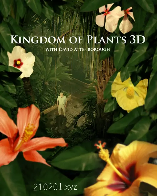 植物王国3D (Kingdom of Plants 3D).webp