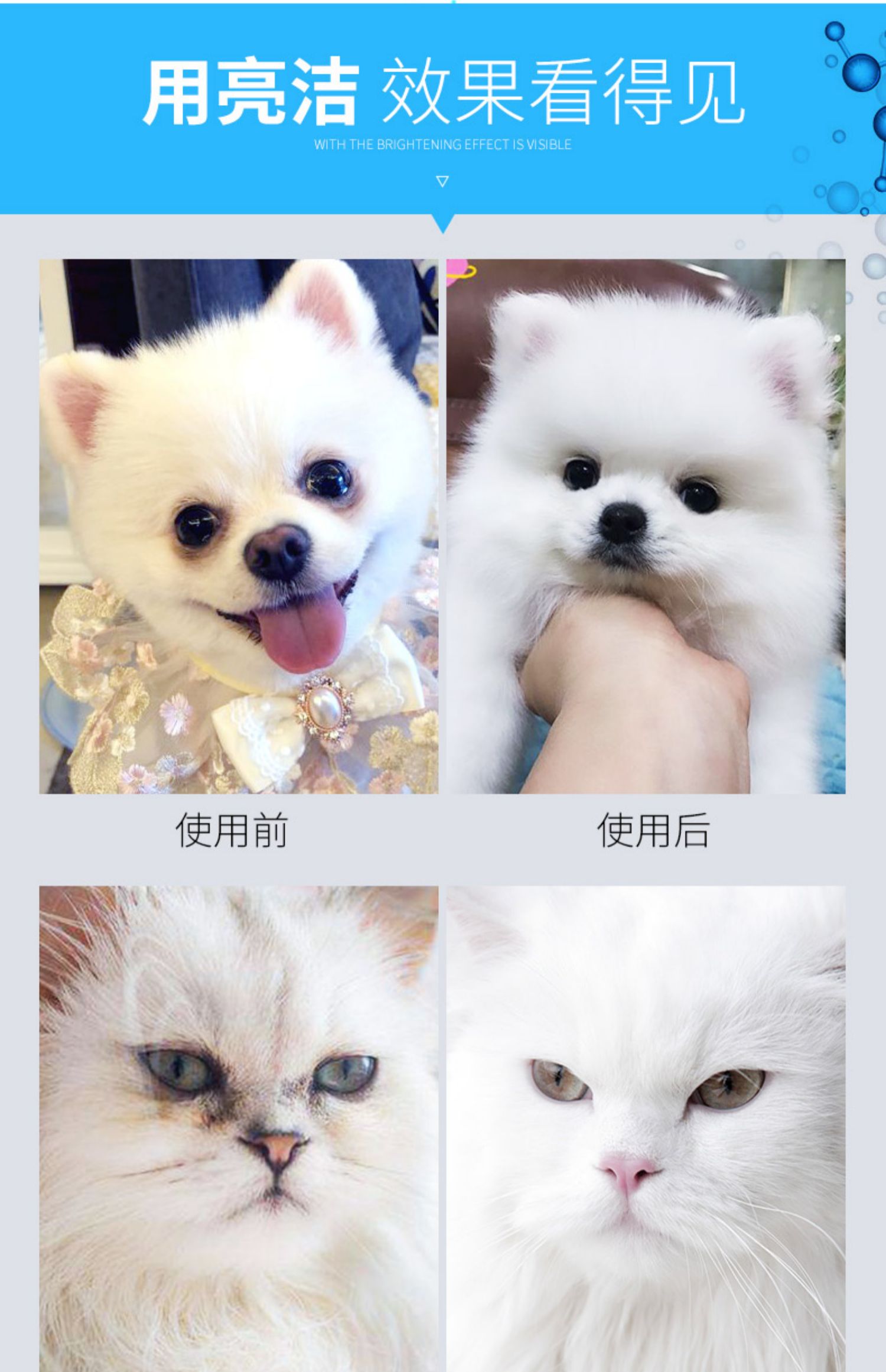 Chó rơi nước mắt giọt thuốc nhỏ mắt Teddy mèo thú cưng nhỏ giọt âm ỉ chống viêm nước mắt ngoại trừ mí mắt - Thuốc nhỏ mắt nước dưỡng mi mắt