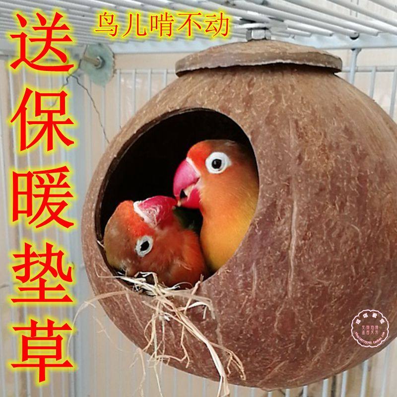 Peony Tiger Skin Pearl Bird Nest Coconut Shell Nest Parrot Nest Warm Coconut Shell Bird Nest Parrot Nest Size Creative