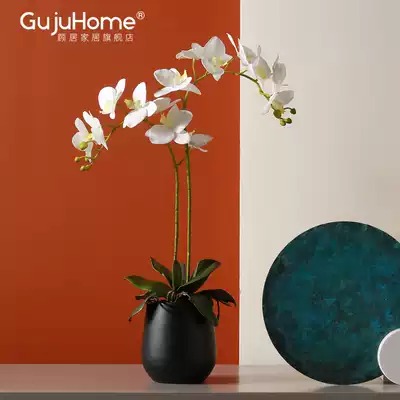 Feel phalaenopsis simulation green plants potted bonsai Chinese light luxury floral living room desktop decoration decoration fake flowers