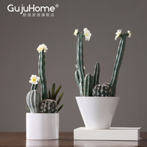 ins Nordic simulation plant fake green plant cactus small potted plants living room TV cabinet interior decoration decoration