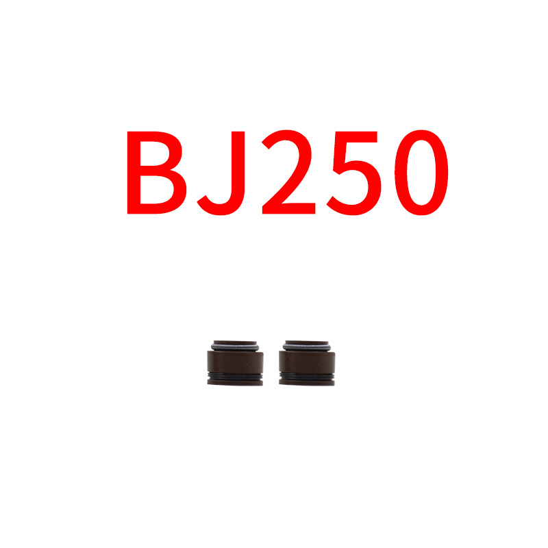 Bj250 Valve Oil SealQianjiang Benelli  Little yellow dragon BJ250-15   15A   15E Casing cylinder Cylinder block piston Piston ring Up and down Cylinder gasket