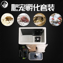 Reptile pet hatching box set egg incubator egg tray reptile gecko turtle maned lion lizard snake DIY hatching box package