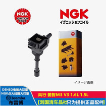 Fengxingzhi M3 Lingzhi V3 1 5L 1 6L dedicated high performance NGK ignition coil high voltage package