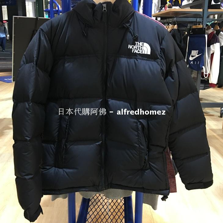 the north face nd91841