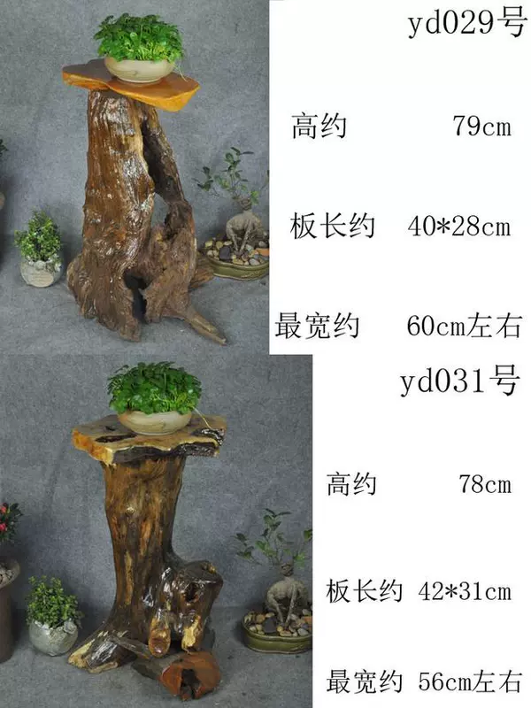 Rễ mới khắc gốc cơ sở gỗ nhiều lớp bonsai khung bể cá khung gỗ rắn gốc ban công trang trí kệ - Các món ăn khao khát gốc bộ bàn ghế gốc cây xá xị