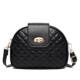 2024 Fashionable Autumn Women's Shoulder Bag, Trendy Quilted Single-Shoulder Bag for Middle-Aged Women, Black Crossbody Bag, Three-Layer Versatile Small Bag