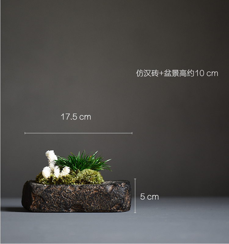 Poly real scene of tea plant flower tea table furnishing articles calamus basin ceramic vase zen imitation of han brick bonsai