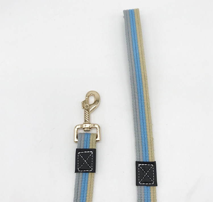 Leash Blue Striped