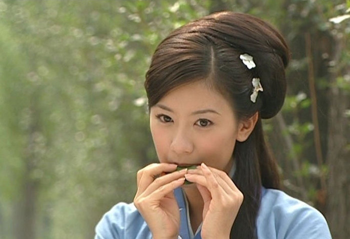 Extension cheveux - Chignon - Ref 241197 Image 5