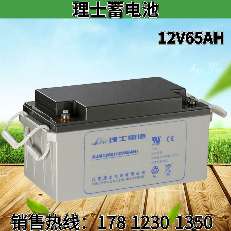 Leoch battery DJW12-65 lead-acid maintenance-free 12V65AH base station ship solar UPS emergency backup