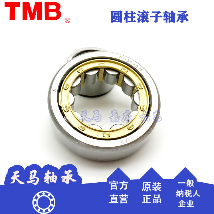 Pegasus Class II cylindrical roller motor bearing NU NJ NUP304 305 306 307 308 EM