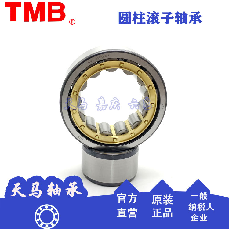 Tianma II cylindrical roller motor vibration screen bearing NU NJ NUP2309 2310 2311EMC3 C4