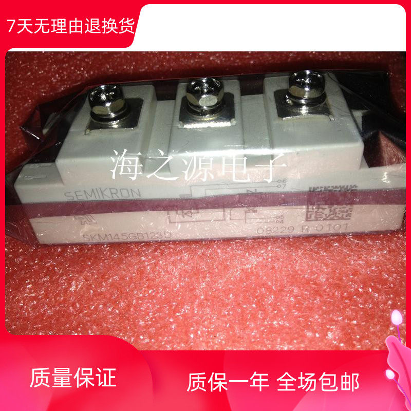 Dismantling of the machine SKM145GB124D SKM145GB124D SKM145GB128D SKM145GB123D SKM145GB123D SKM145GB124DN