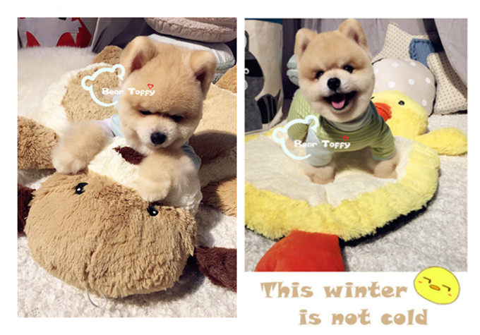 BeartoffyPet pet kennel cat and dog autumn and winter cute plush animal warm and thick floor mat