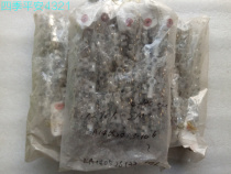 Japan imported second-hand thread tail thread nose condition new (single price)